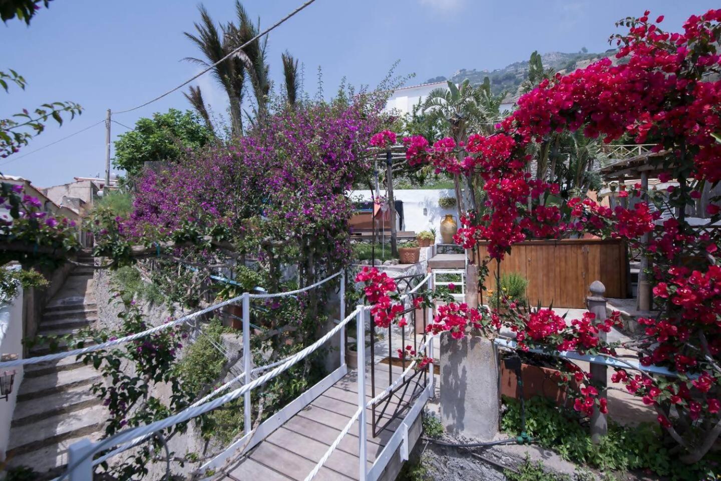 Perla Nel Blu Villa Affacciata Sul Mare Conca dei Marini Buitenkant foto
